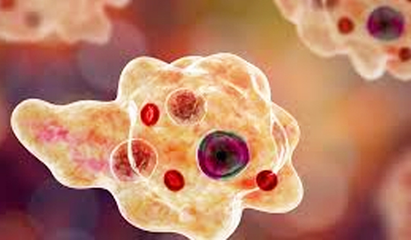 അമീബിക് മസ്തിഷ്‌ക ജ്വരം; ജാഗ്രത പാലിക്കണമെന്ന് ആരോഗ്യ വകുപ്പ്