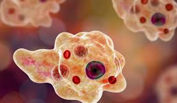 അമീബിക് മസ്തിഷ്‌കജ്വരം; ഒരു മരണം കൂടി സ്ഥിരീകരിച്ചു