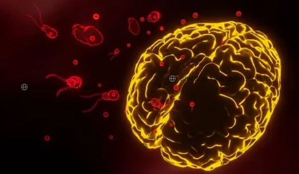 വയനാട്ടുകാരനും മസ്തിഷ്ക ജ്വരം