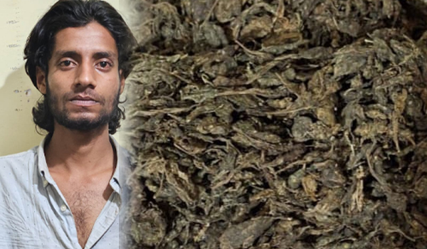 കഞ്ചാവുമായി യുവാവ് പിടിയില്‍