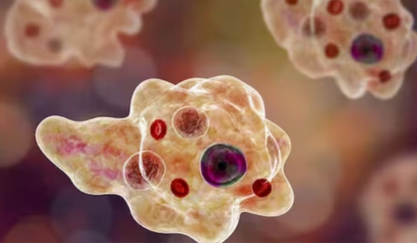 അമീബിക് മസ്തിഷ്‌ക ജ്വരം; ജില്ലയില്‍ ജാഗ്രത നിര്‍ദേശം