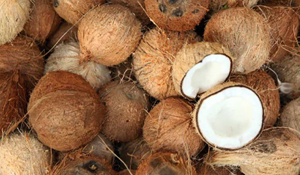 നാളികേര വില റെക്കോർഡിലേക്ക്;