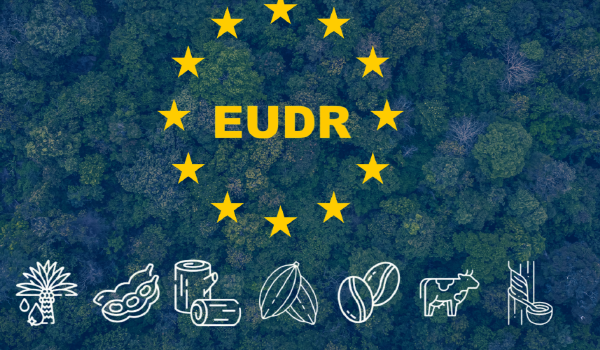 കാപ്പി കർഷകർക്ക് വിനയായി യൂറോപ്യൻ യൂണിയൻ നിബന്ധനകൾ; വിപണിയെ സാരമായി ബാധിച്ചേക്കും
