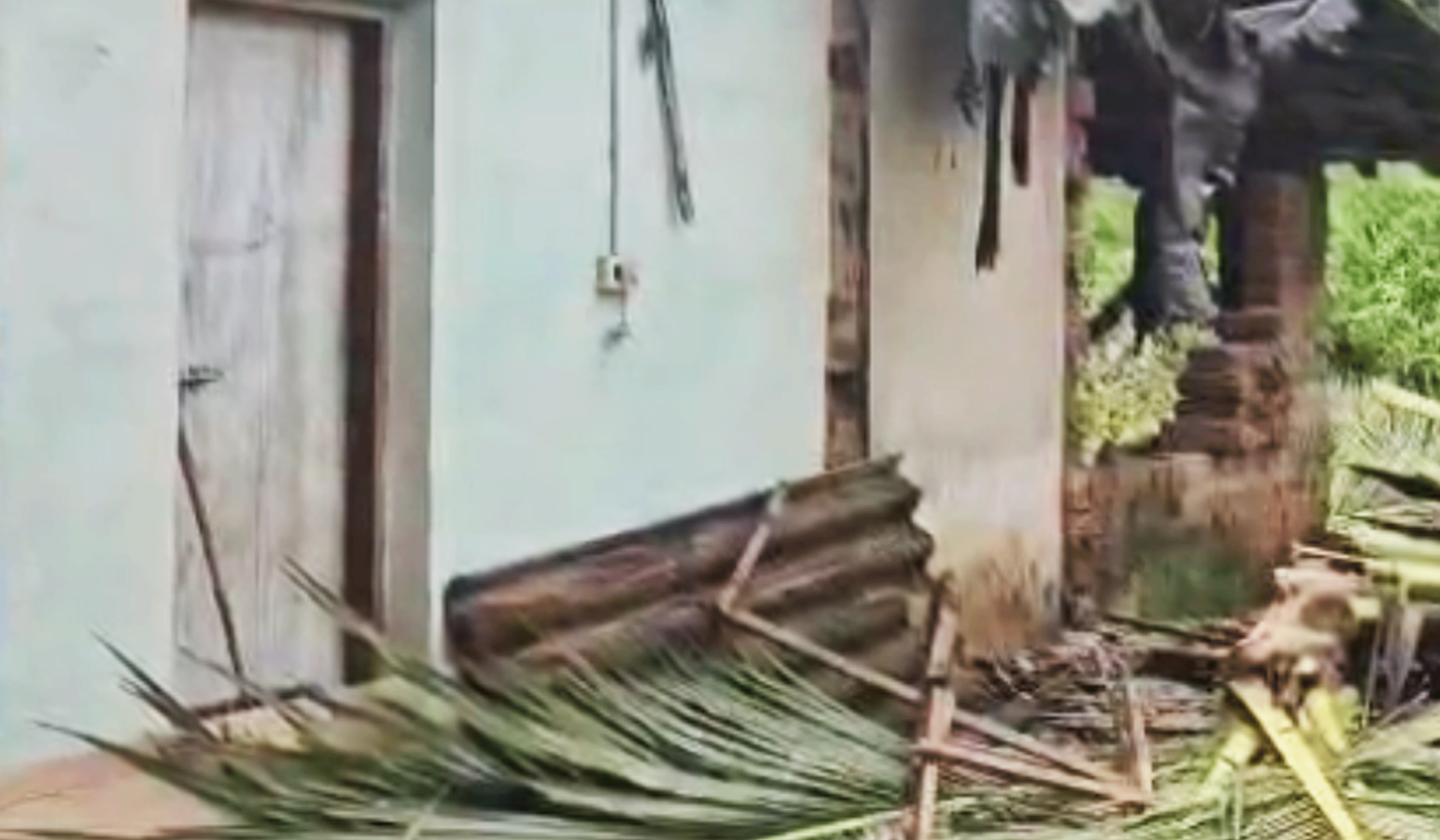 കാട്ടാന മറിച്ചിട്ട തെങ്ങ് വീണ് വീട് ഭാഗികമായി തകര്‍ന്നു