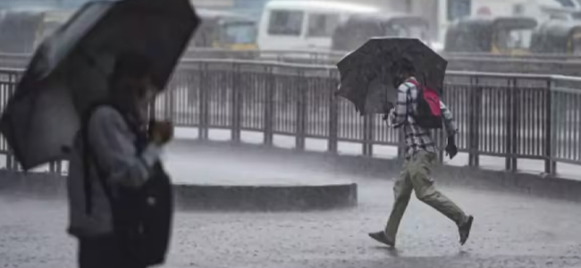 മുൻകരുതൽ നടപടികൾ വിജയിച്ചു; വയനാട്ടിൽ അപകട മരണങ്ങളില്ലാത്ത മഴക്കാലം