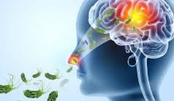 അമീബിക് മസ്തിഷ്ക ജ്വരം:  പൊതു-സ്വകാര്യ നീന്തൽ കുളങ്ങൾ ക്ലോറിനേറ്റ് ചെയ്യാൻ നിർദ്ദേശം