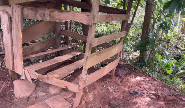 അമ്പലവയല്‍ ആനപ്പാറയില്‍ വളര്‍ത്തു നായയെ പുലി കൊന്നുതിന്നു