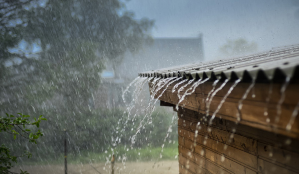 കനത്ത മഴയ്ക്ക് സാധ്യത; 12 ജില്ലകളില്‍ യെല്ലോ അലേര്‍ട്ട്