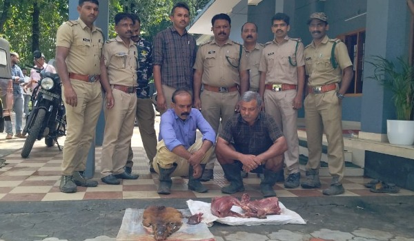 കേഴമാനിനെ വേട്ടയാടി; സഹോദരങ്ങള്‍ പിടിയില്‍