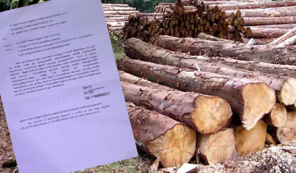 മുട്ടില്‍ മരംമുറി കേസ്; കര്‍ഷകരുടെ അപ്പീല്‍ തള്ളി