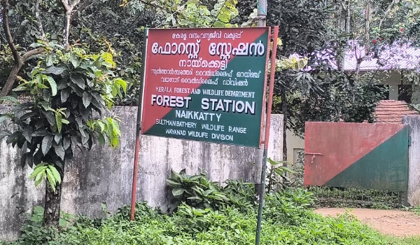 പണിമുടക്കി വനംവകുപ്പ് എം.എൻ.ആർ വാച്ചർമാർ