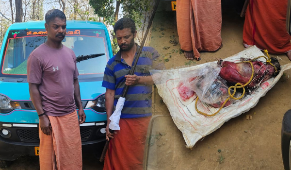 മുള്ളൻപന്നിയെ വേട്ടയാടിയ രണ്ട് പേർ പിടിയിൽ