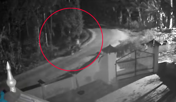 അമ്പലവയലില്‍  വീണ്ടും സ്‌കൂട്ടര്‍  മോഷണശ്രമം