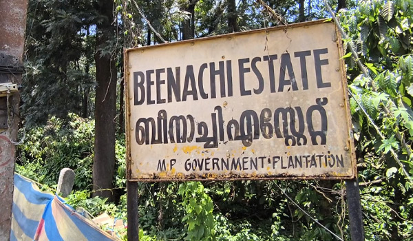 മധ്യപ്രദേശ്  സർക്കാരിന്റെ ഉടമസ്ഥതയിലുള്ള ബത്തേരിയിലെ ബീനാച്ചി എസ്റ്റേറ്റ് ഏറ്റെടുക്കാനുള്ള സർക്കാർ നീക്കം പ്രഖ്യാപനം മാത്രമായി ഒതുങ്ങി.